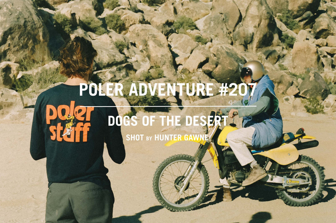 DOGS OF THE DESERT