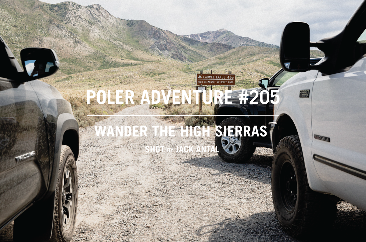 WANDER THE HIGH SIERRAS