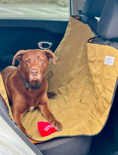 Pet Car Seat Hammock OLIVE/ORANGE