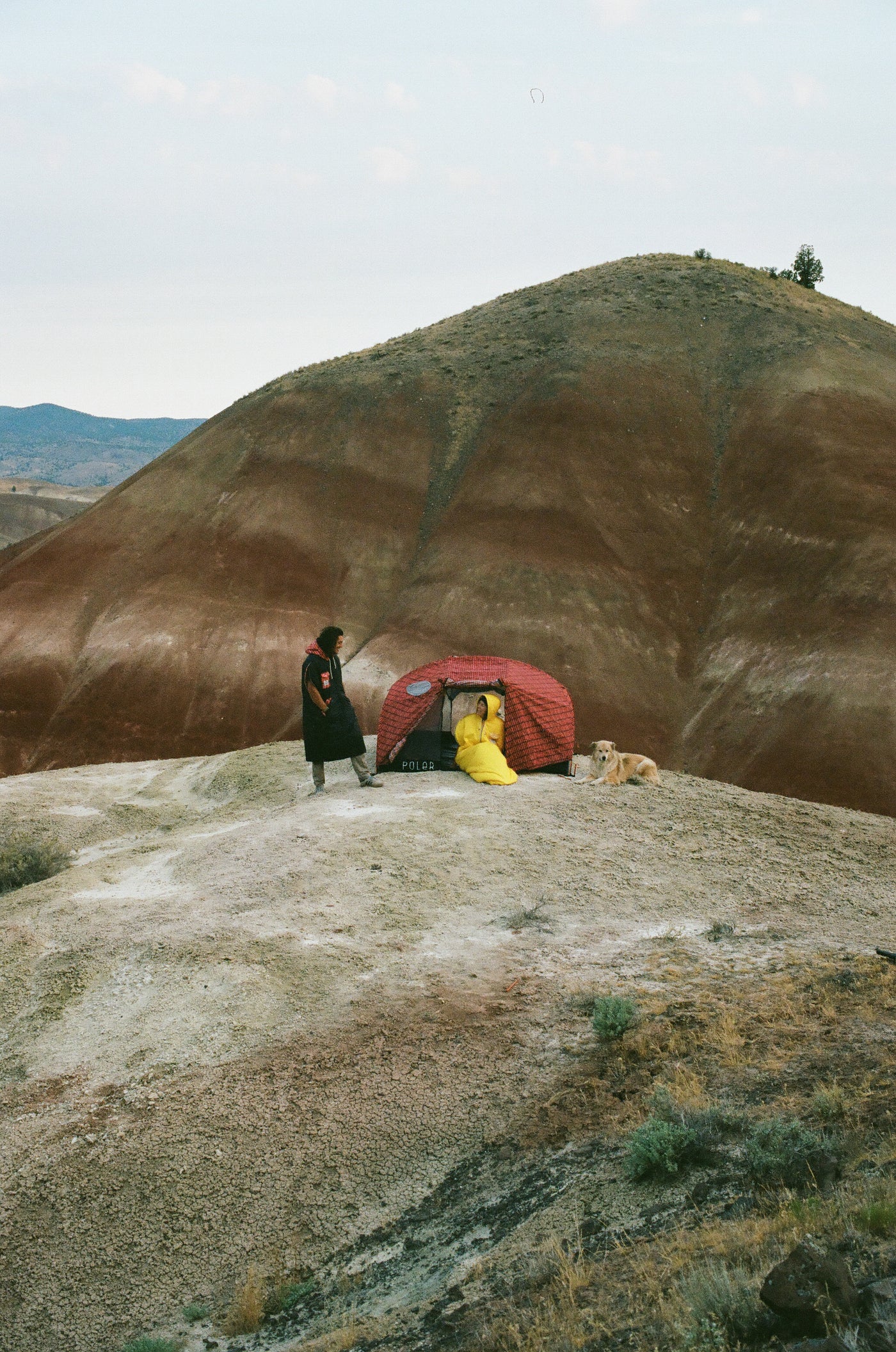 2-Person Tent - HAL tents   